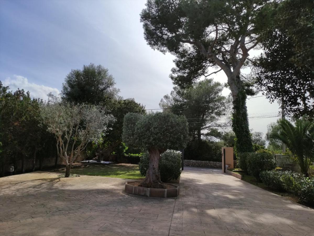Villa Mestral 알쿠디아 외부 사진
